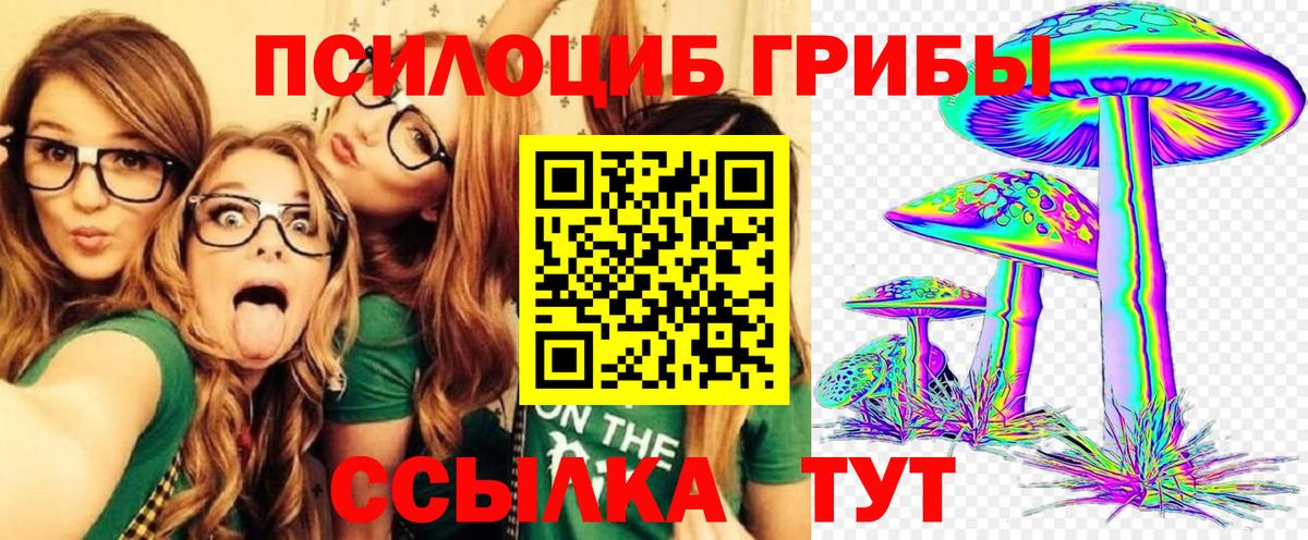 Псилоцибиновые грибы Psilocybe Унеча