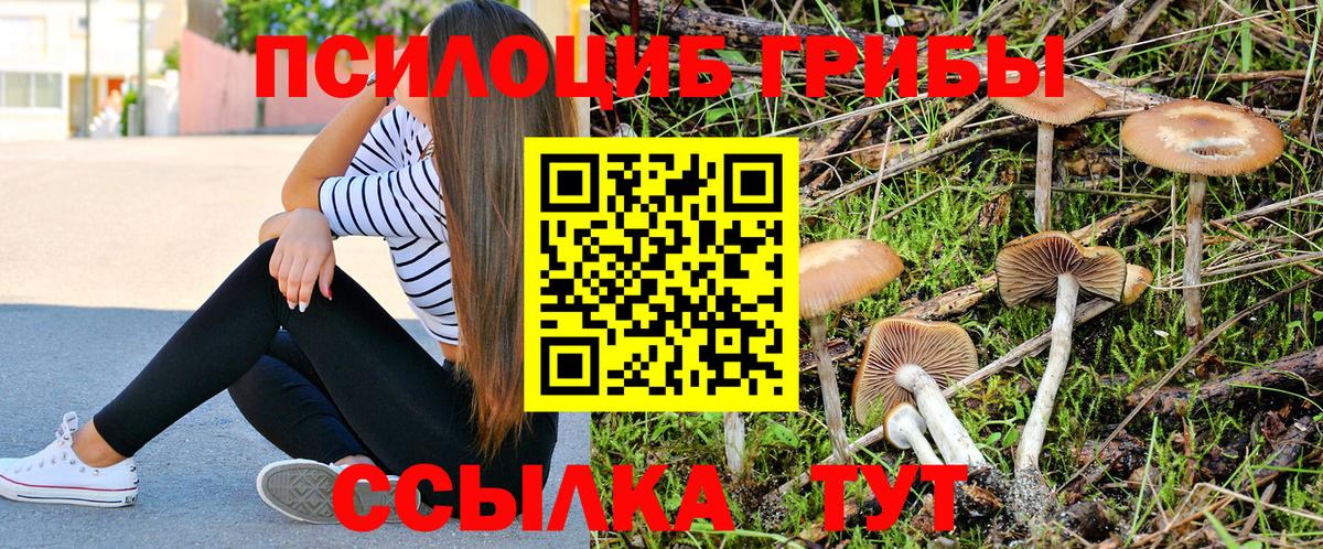 Псилоцибиновые грибы мухоморы  купить   Псилоцибиновые грибы мицелий  Унеча  Вход с VPN 